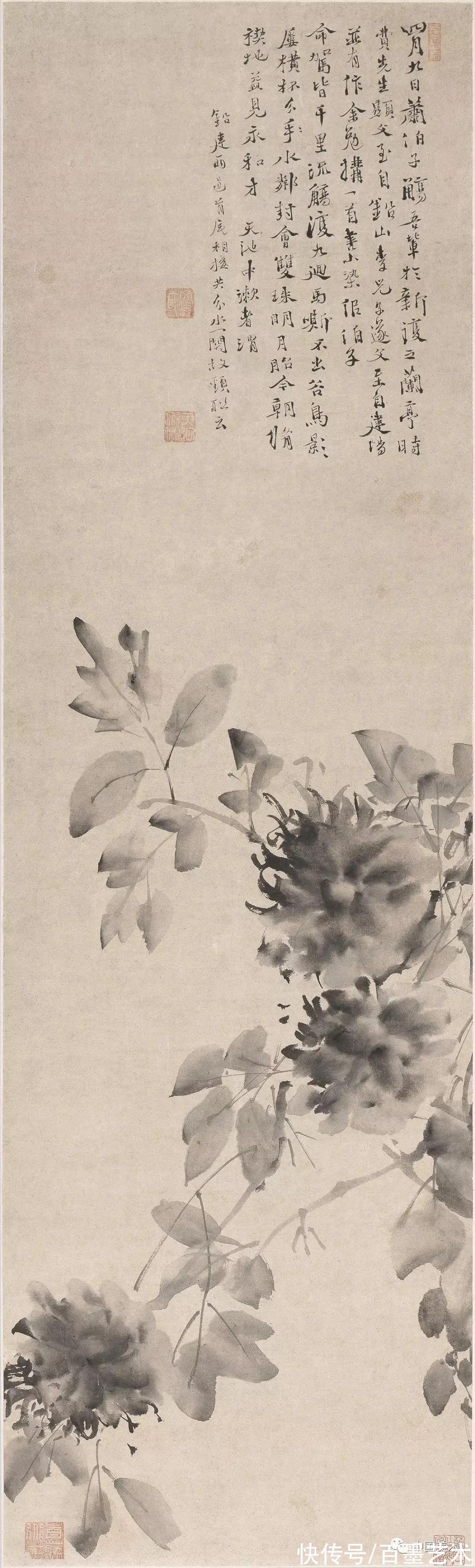 明朝@青藤白阳：明朝花鸟两大高峰