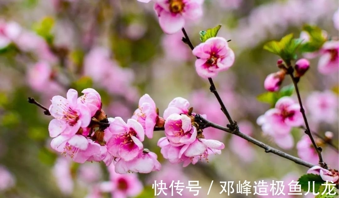 杨柳岸晓风@酒与宋词,飘着酒香的10大宋词排行榜,猜猜都有哪些名篇入榜?