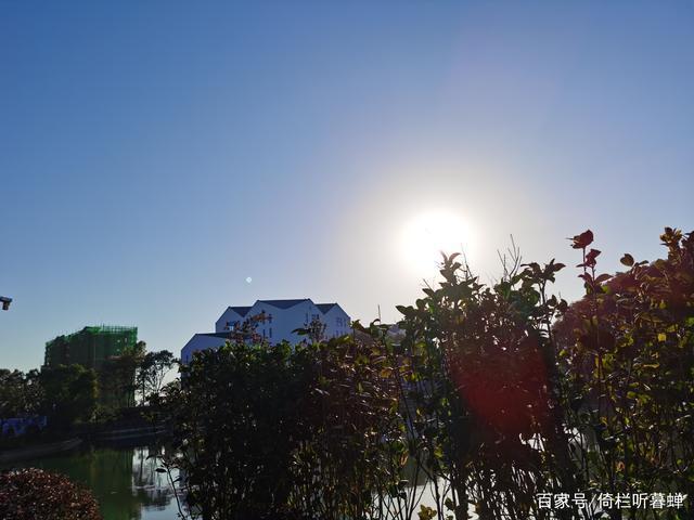 《七绝.初冬印象》霜染苍茫已入冬，枝条飞叶落无穷