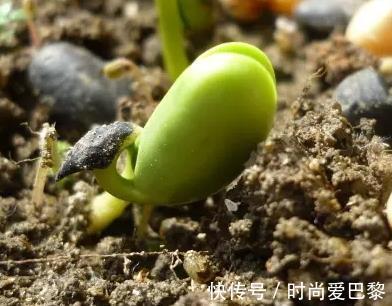 笋干|女人宁愿少买些化妆品,也要买的5种碱性食物,越吃越显年轻