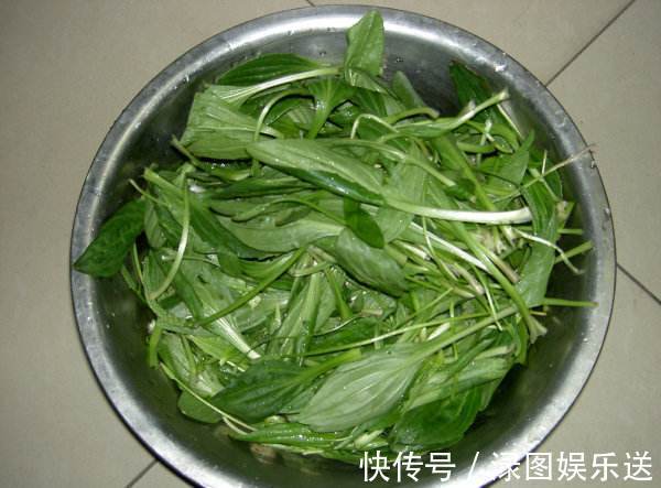 用车前草|70岁大爷天天上山只为拔车前草泡水喝，两个月后身体有了变化