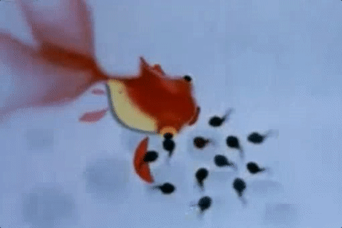 国漫|爽翻天!国漫要放大招了