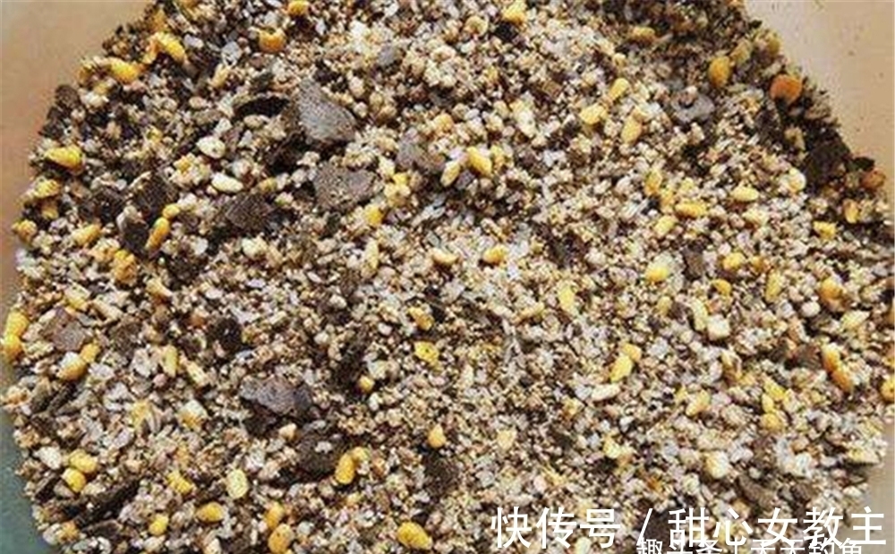 冬季低温发窝慢,打窝聚鱼要分4步走,距离远的鱼群也能排队进窝