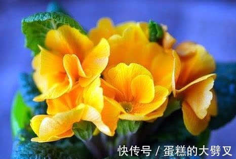 余生|下半年,红尘滚滚,尽余生慷慨,奋力一搏,牵手良人,今生不变