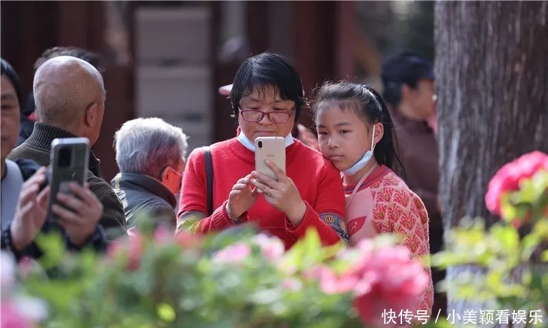 一条街|春城春意浓，西山区赏花正当时