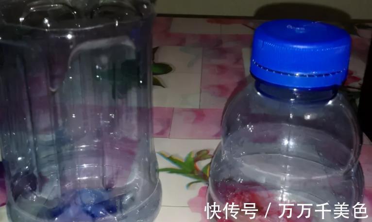 植株|如何兼顾养花和环保？改造下塑料瓶，用着乐趣多又省钱，效果好
