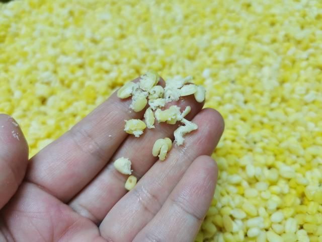 平底锅|自制绿豆饼，低糖少油无需炒豆沙，清凉解暑促消化，平底锅也能做