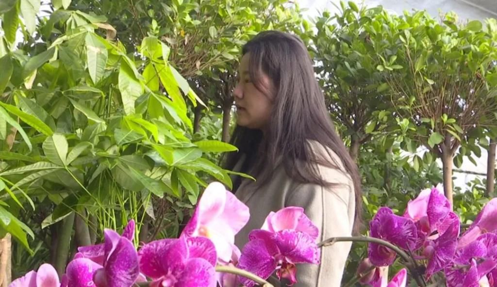 春天在传递幸福的花房里