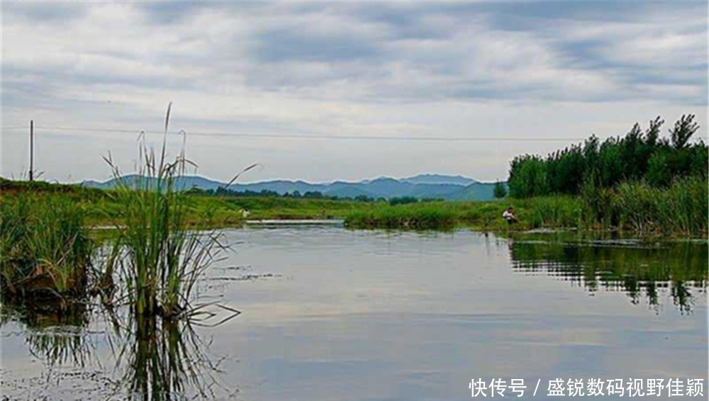 涨水钓草鱼,越钓越欢喜,夏季雨后用这些招数,大草鱼连竿上!
