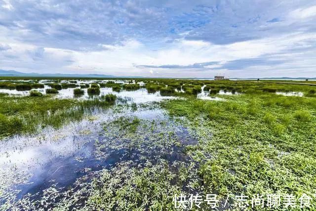 鸟类|中国最美六大沼泽湿地，养在深闺无人识，去过的都惊叹不已