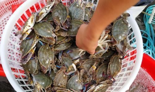 鸡翅|招待朋友别去饭店了，教你做五菜一汤，成本不到100元，比饭店实惠