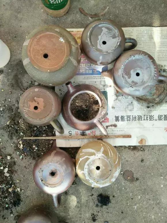 旧茶壶种点花,秒变高端盆景,卖300一个邻居抢着要