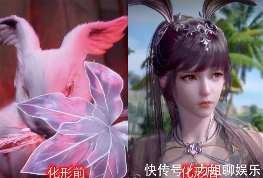 魂兽化形|斗罗大陆魂兽化形前后对比,小白画风突变,小舞萌兔变仙女