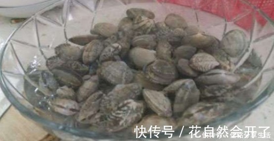 米醋|洗花蛤万万不可只加盐，渔民教你土方法，花蛤疯狂吐沙，很实用