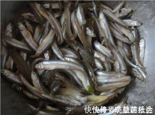 炸鱼|不管炸什么鱼，千万不要用淀粉或面粉？用“它”，外酥里脆不回软