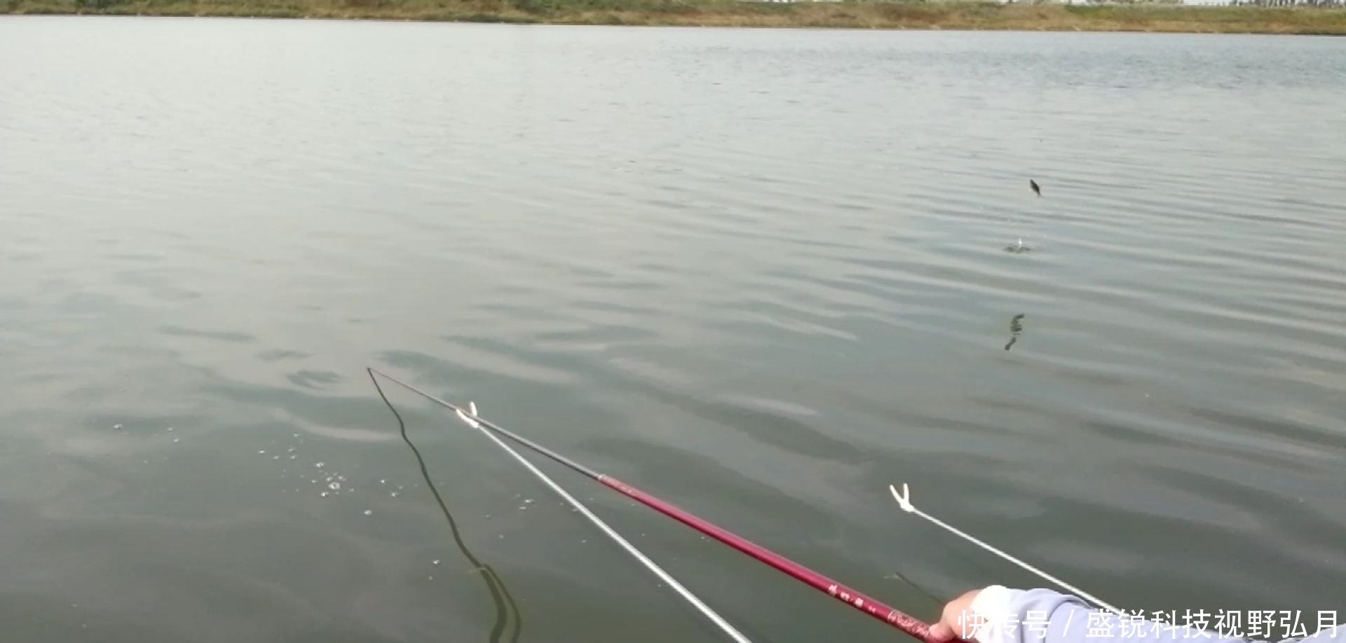 看了那么多调漂视频，为啥还总是抓不好口，问题就出在这几点！