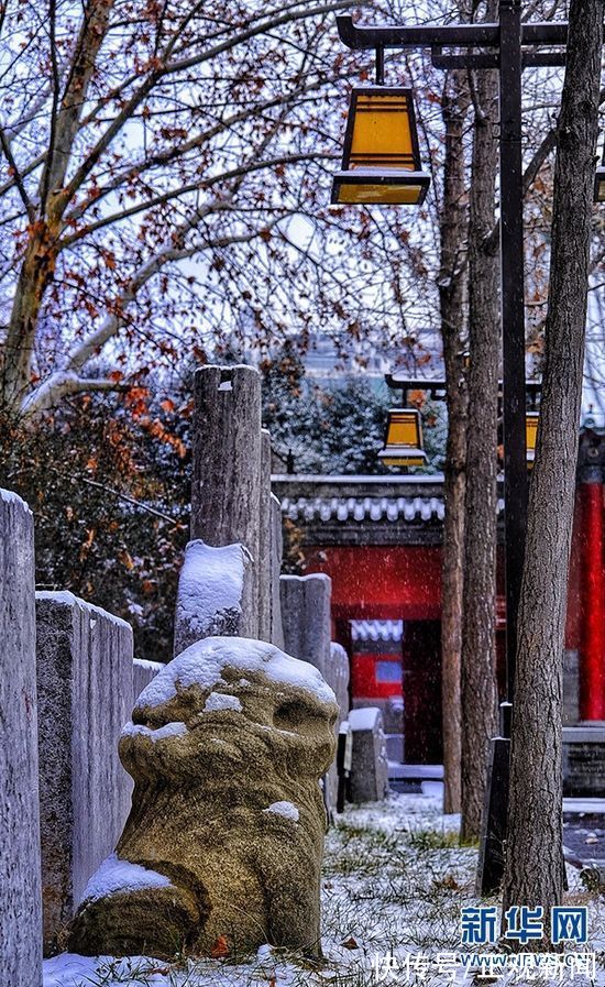 红墙青瓦|红墙青瓦遇白雪 文庙银装似画卷