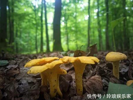 和骨头抢钙、和血液抢维C，你天天接触它，正悄悄偷走体内营养素