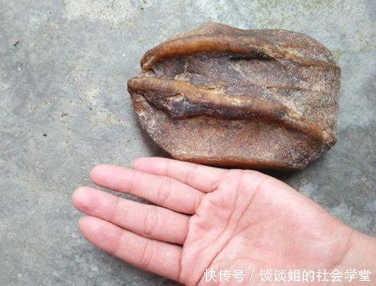 奇特|男子捡到“奇石”,模样奇特形状怪,让人大开眼界