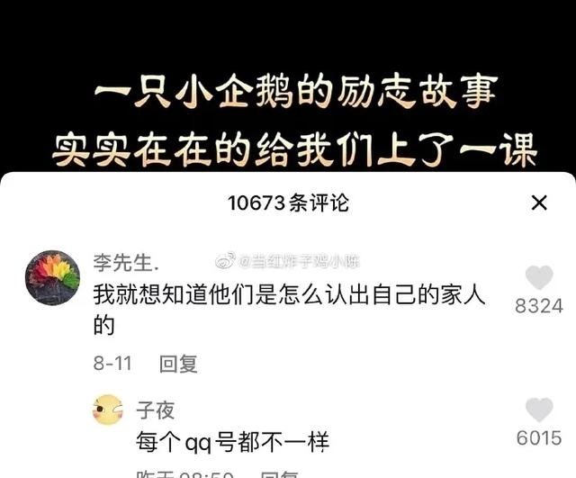 头条|“抖人犀利神回复大赏！”建议会说话就出本书吧！头条喜剧人