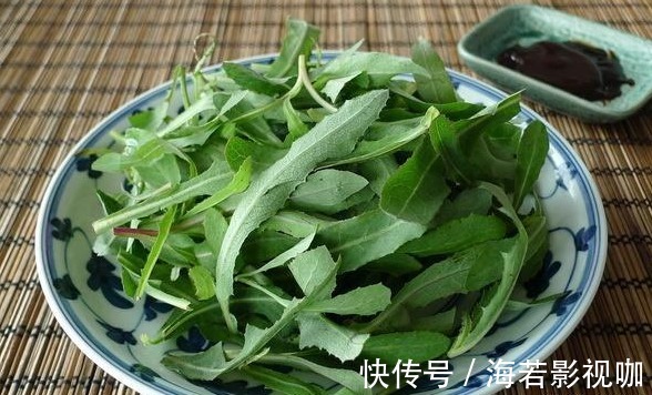 苦菜|7种农村常见的野菜,个个都是治病的“良药”,你吃过几个