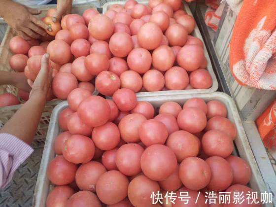 粉皮儿|西红柿“红皮的好”还是“粉皮的好”果农给出答案,别再买错了