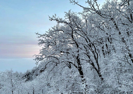 老年|全网点赞！秦岭雪景冲上热搜…未来几天这里或迎雨雪