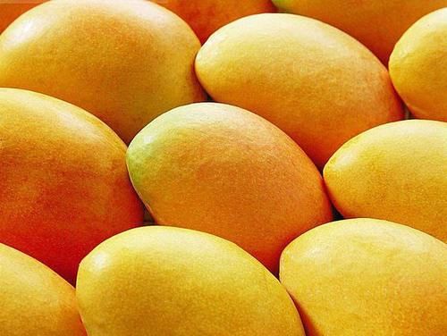 春天适合美容，坚持吃的食物，有益于视力，能润泽皮肤，活血排毒