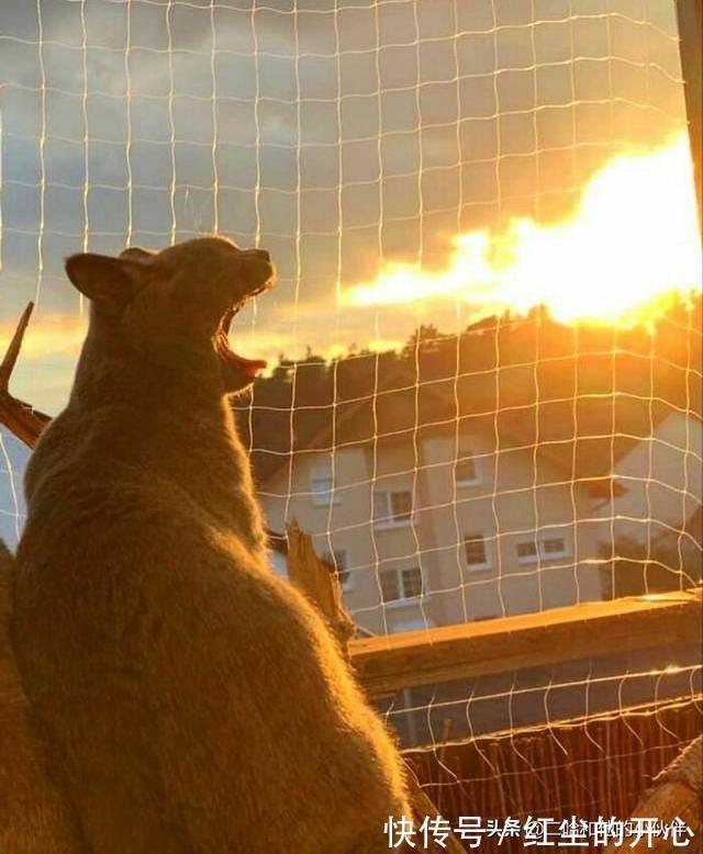 |网友分享的25个奇怪而搞笑的事情,你看过几件?