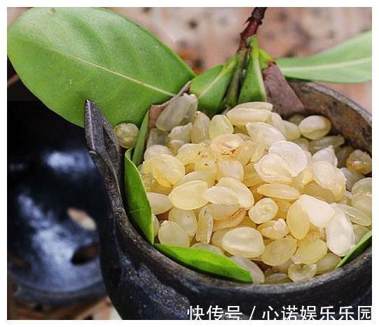 糖尿病|糖尿病最怕这几种碱性食物!每天吃一点,稳定血糖不升高