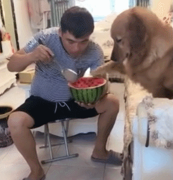 |搞笑GIF:孩子,你有驾照吗?你这样不能上路你知不知道