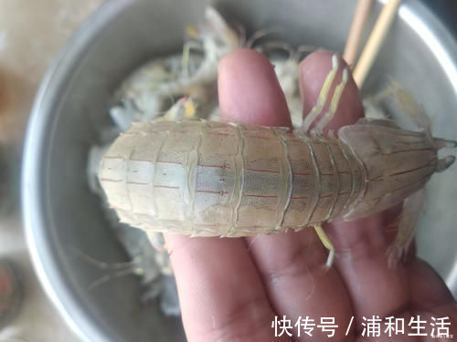 鲜甜|做皮皮虾,煮还是蒸好老渔民只用一种做法,皮皮虾鲜甜还不腥