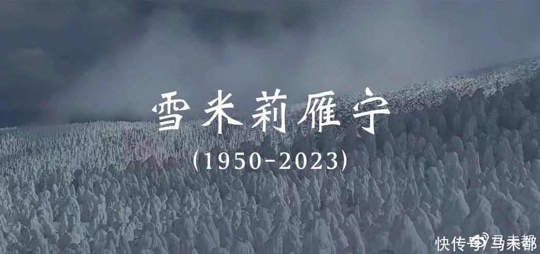 难以置信（念天地之悠悠 独怆然而涕下）念天地之悠悠独怆然而涕下出自谁的登幽州台歌 第40张