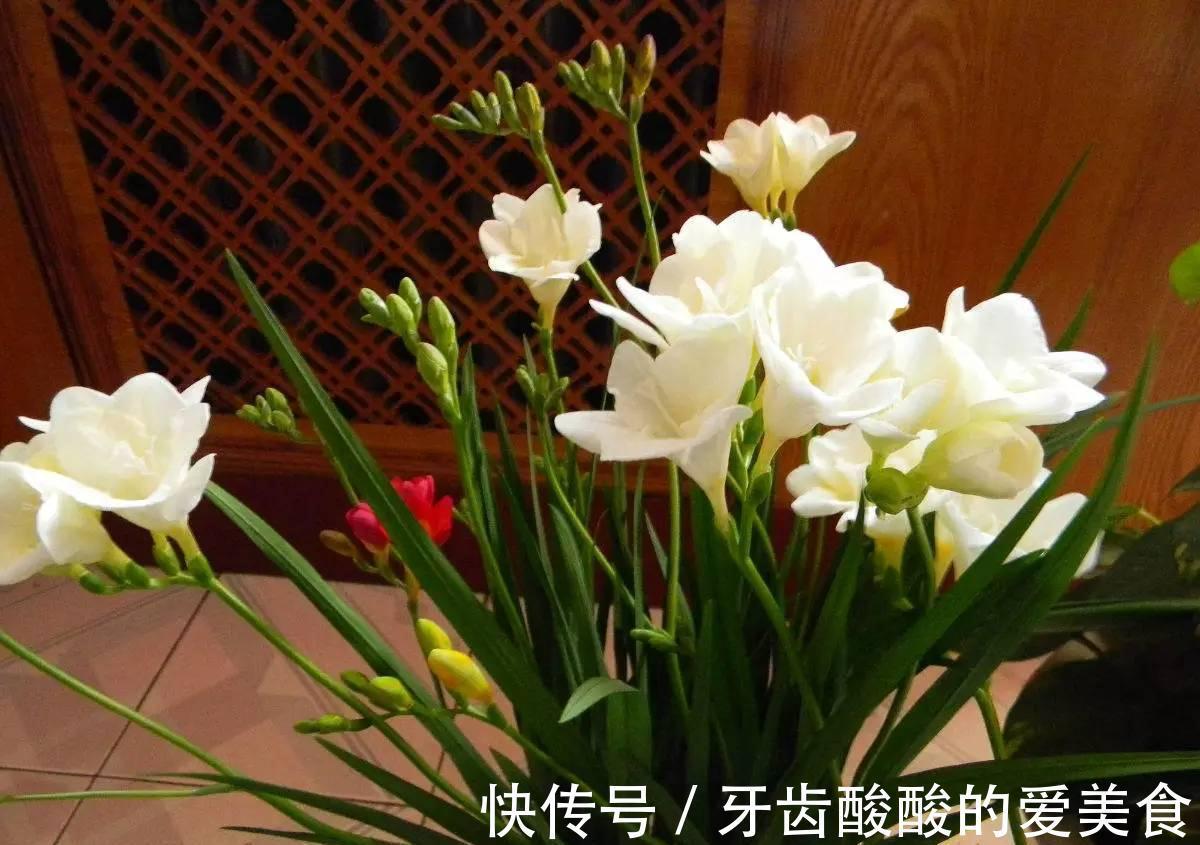 芦荟|6种“女人花”能吃又好闻,采花泡茶养容颜,女人养花,花养美女