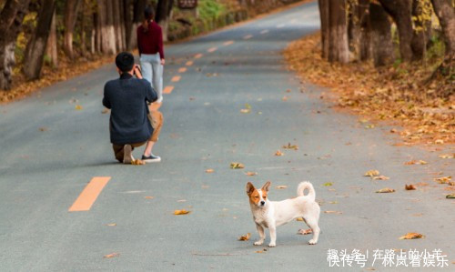 大唐盛世|秦岭山中的秘境，有中国最美乡村之称，不收门票还没有几个游客