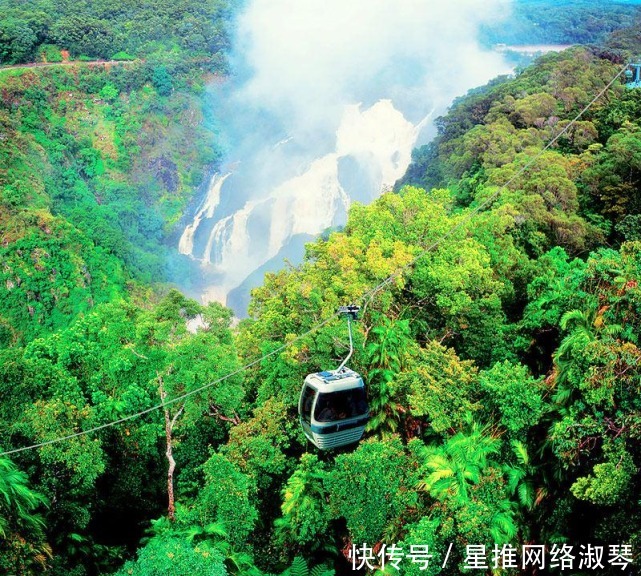 自然景观|热带雨林的难忘之旅