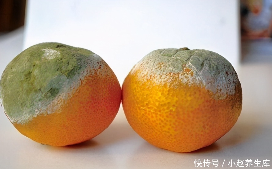 健康|肝不好的人,有5个症状,要想肝脏健康,少吃四食,常做五件事