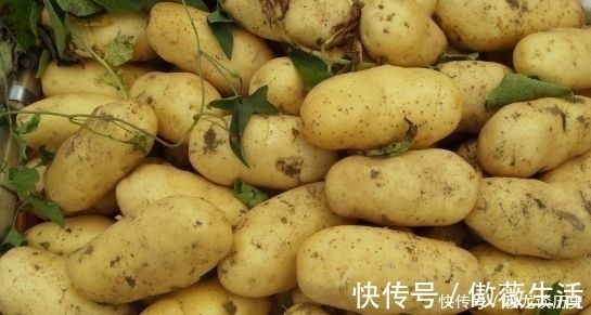 含量|每天吃1个胜吃10个苹果！降脂 降压 控血糖