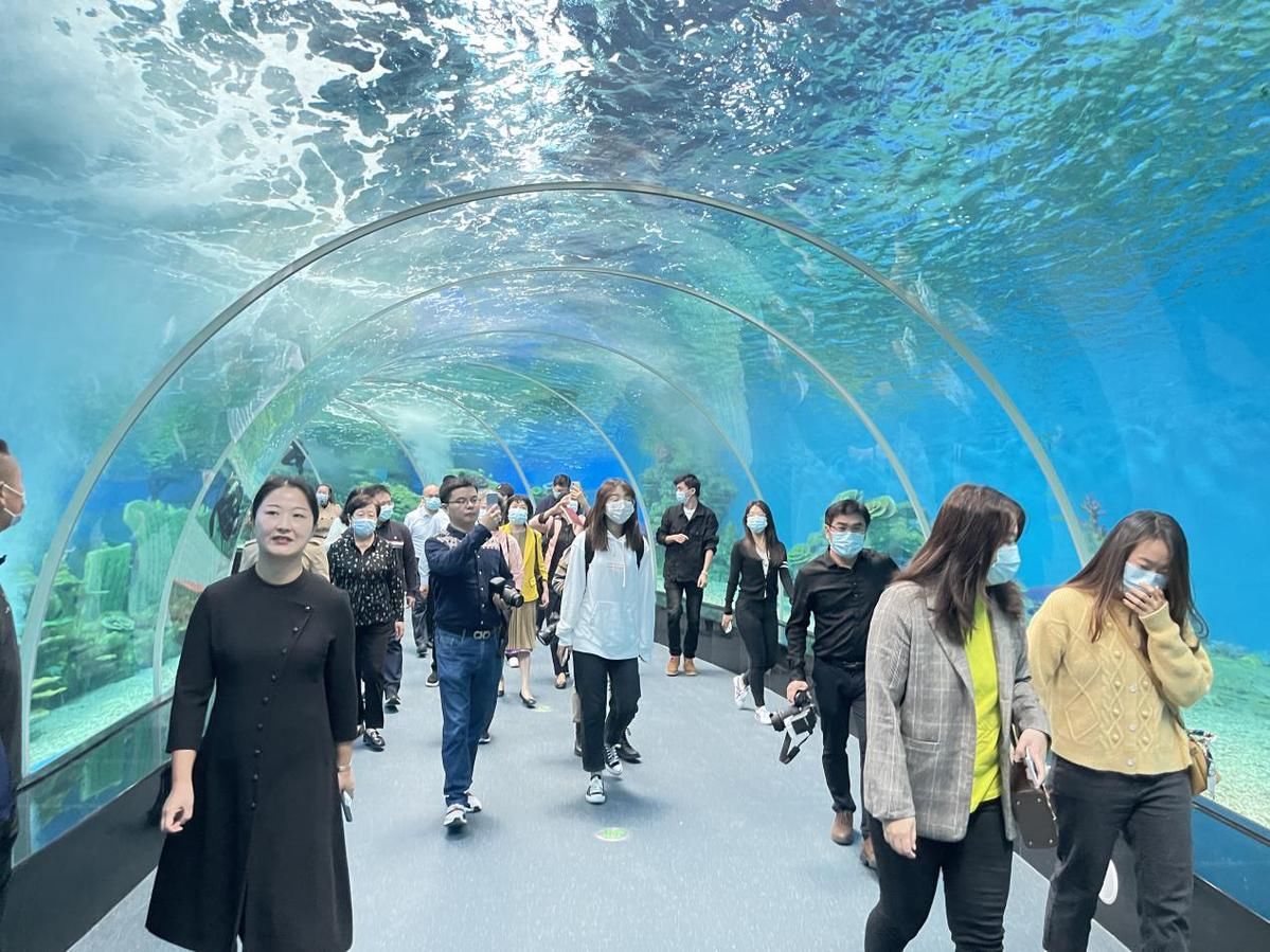 海洋生物|泉州高质量发展海丝文旅产业：保护海洋生物 共建人与动物和谐共处的世界旅游目的地