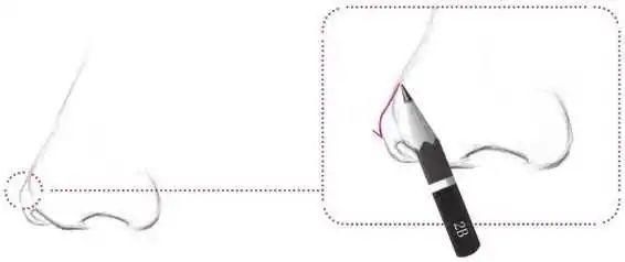 鼻孔@零基础素描教程:分步骤讲解34侧面鼻子画法,简单易学,快临摹