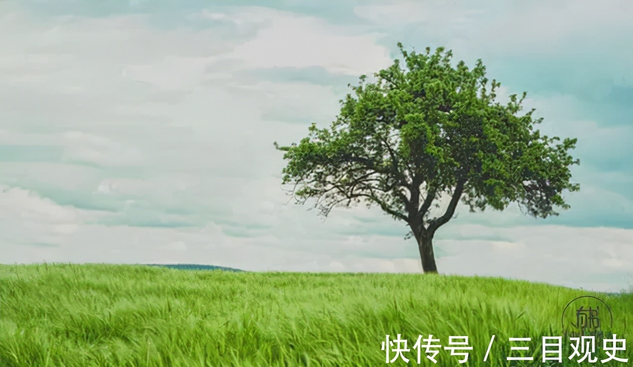 辛酸故事&吴承恩的倔,曹雪芹的痴,四大名著外的辛酸故事