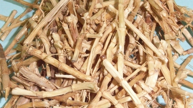 蒲公英|肝病人群，它是“药草皇后”，肝不好每天喝一点，排肝毒、养肝脏