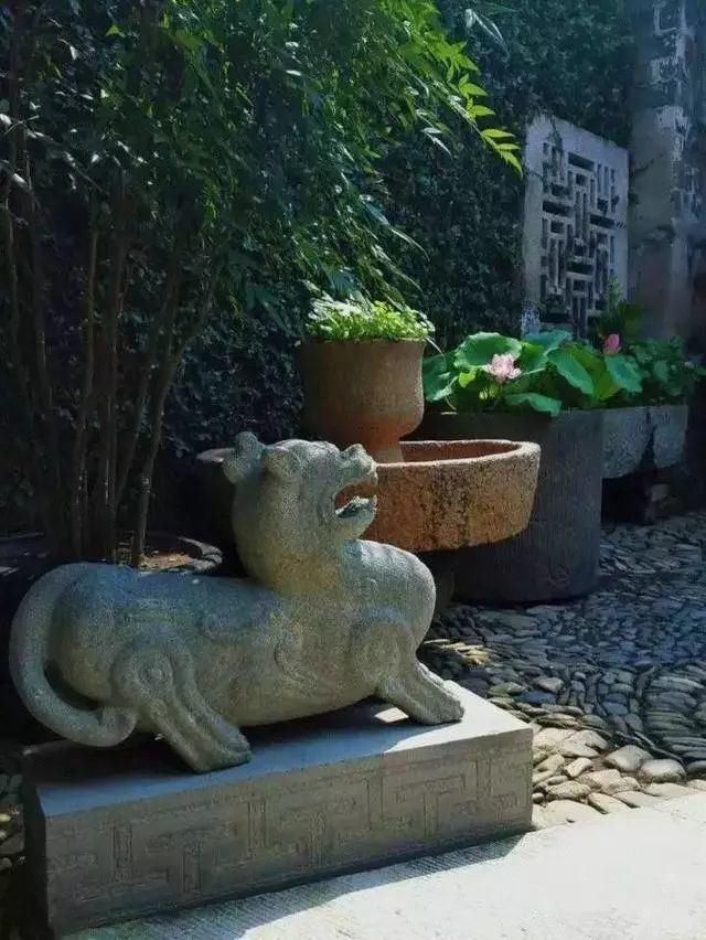 一些山石,美了整个院子