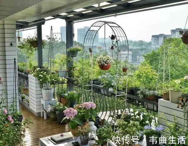 楼房|为了一个露台，坚持买了顶楼房，改造成“露台花园”美翻了
