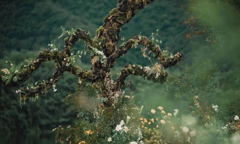 策划师|不惧婚礼堂！认清婚庆公司的生存法则