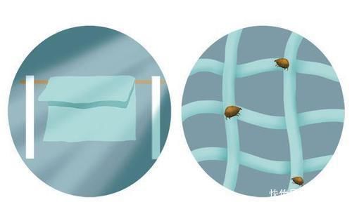 螨虫以什么为食不管是否想到,对健康的威胁,别视而不见