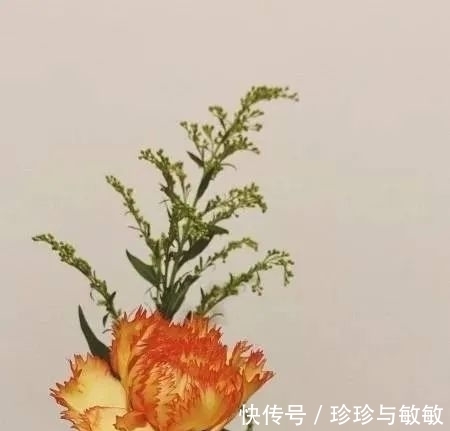 红鸾|下周一到，桃花满天飞，月老亲自来赐姻缘，喜结良缘喜脱单的生肖