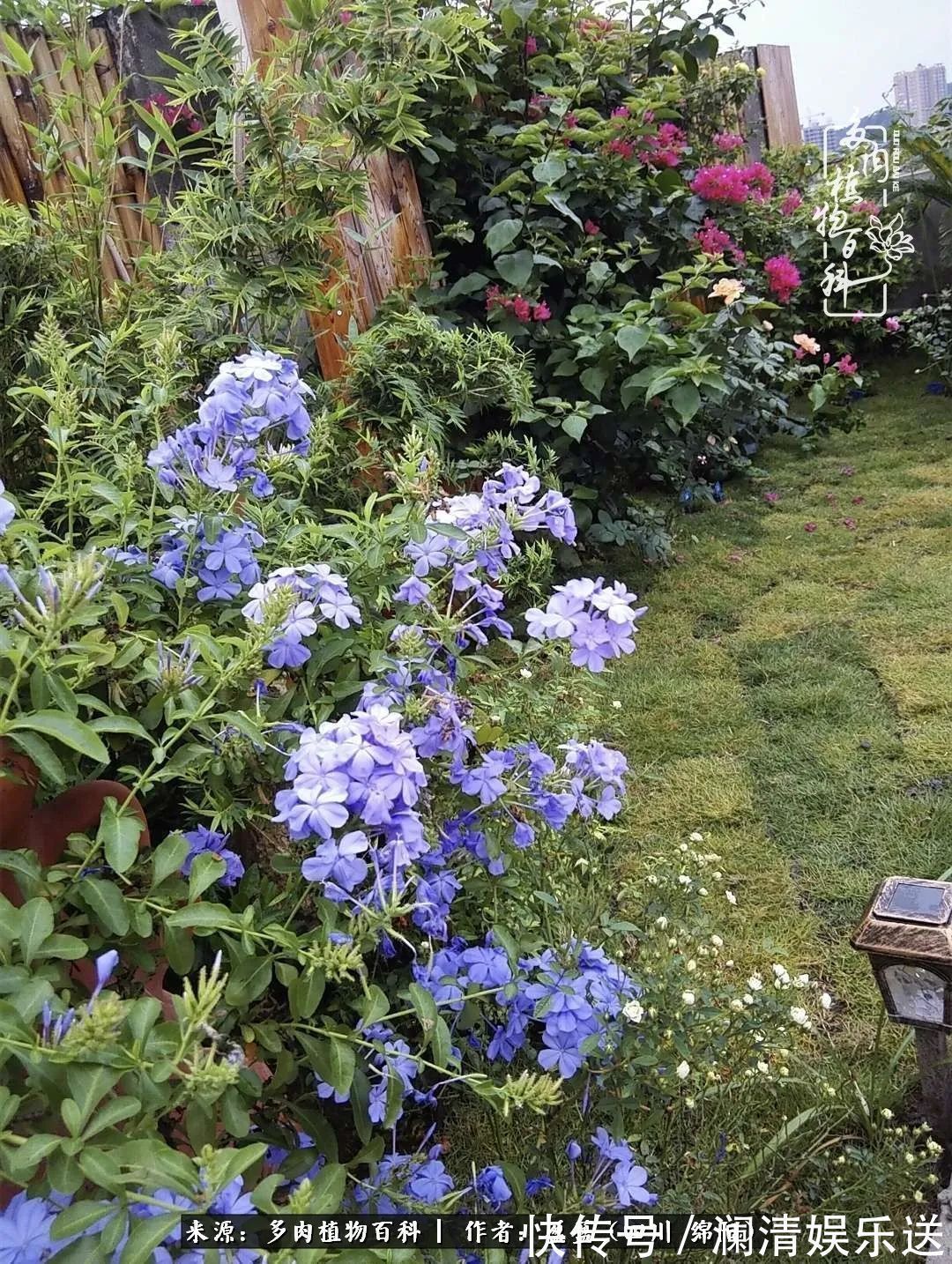 一定要爱着点什么，恰是草木对光阴的柔情！