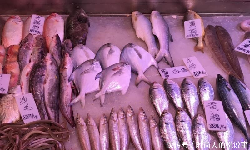 养殖|买海鱼时,这5种海鱼放心买,人工没法养,美味又营养!