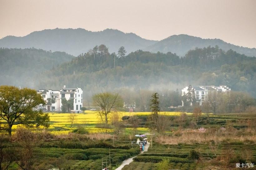 婺里看花花千姿、徽州古城美如画 - 自驾赏花之旅（一）